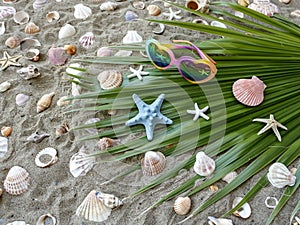 Palm leaf, sunglasses and seashells on beach sand