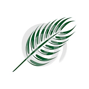 Palm Leaf Tropical Logo Template Illustration Design. Vector EPS 10 photo