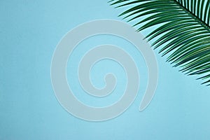 palm leaf in the upper right corner of the blue background, copy space, creative summer tropical concept, vocations time