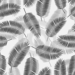 Palm Leaf Vector Seamless Pattern Background