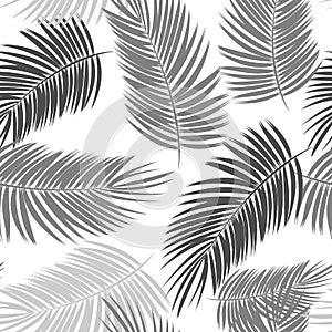 Palm Leaf Vector Seamless Pattern Background Illustration