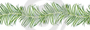 Palm Leaf Watercolor Border. Botanical illustration of tropical seamless pattern. Hand drawn on isolated background