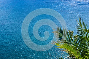 Palm leaves on a background of amazing blue sea. Copy space. Travel invitation
