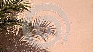 Palm leaves cast shadows on a light peach-colored wall