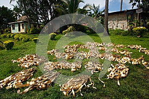 Palm leaves drying in Navala village, Viti Levu, Fiji photo