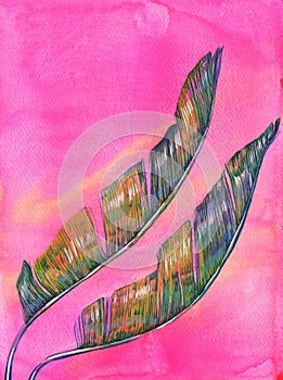 Palm leaves. Hand drawn painted watercolor watercolor illustration. Green plants on pink background