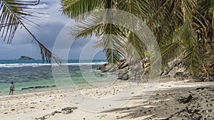 Palm leaves hang over the beach. Shadows on the sand