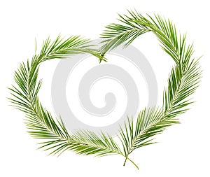 Palm leaves heart shape arrangement