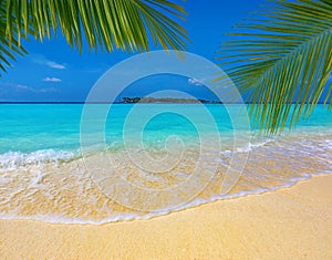 Palm leaves over a sandy tropical beach and turquoise sea, Maldives