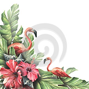 Palm leaves with red hibiscus flowers, pink flamingos and seashells. Watercolor illustration. Composition of a large set