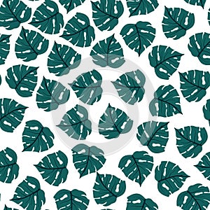 Palm leaves seamless pattern. Summer tropical leaves on white background.