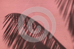 Palm leaves shadow on neon pink color painted concrete wall texture summer background