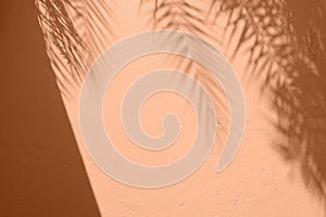 Palm leaves shadow on peach color cement plaster wall texture tropical summer background