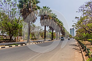 Palm lined avenue in Bahir Dar, Ethiop