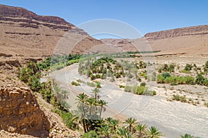 Palm lined dry river bed with red orange mountains near Tiznit in Morocco, North Africa