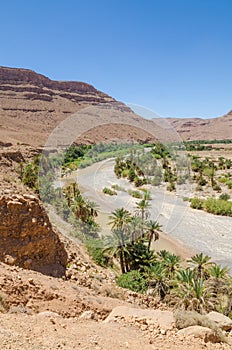 Palm lined dry river bed with red orange mountains near Tiznit in Morocco, North Africa