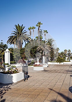 Palm-lined promenade