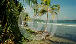 Palm-lined sandy beach `samara beach` at Guanacaste, Costa Rica