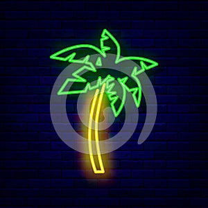 Palm neon icon. Summer vacation concept. Beach party. Travel and relax. Night bright signboard. Vector illustration