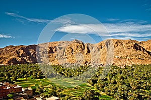 Palm Oasis of Tineghir in Morocco by Todra