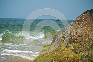 Palm and Ocean coast with big waves in India