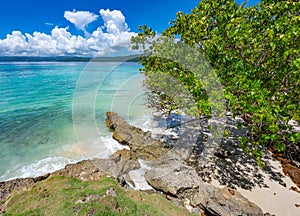 Palm Ocean Sky caribbean coast