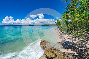 Palm Ocean Sky caribbean coast