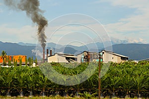 Palm oil factory, Sumatra Indonesia