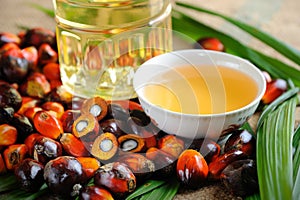 Palm Oil fruits