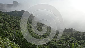 Palm Oil Plantation In A Valley With Mist - Pan - Right To Left 2