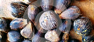 Palm oil seed with seeds structure