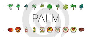 palm oil tree leaf plant icons set vector