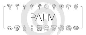 palm oil tree leaf plant icons set vector