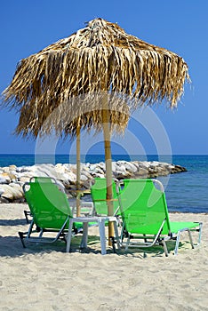 Palm parasol at summer beach