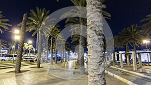 Palm Park in Jerusalem in the night timelapse hyperlapse photo