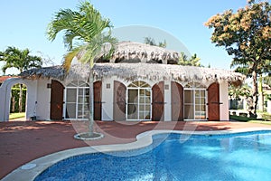 Palm roof villa in Dominicana photo