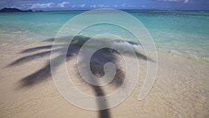 Palm shadow on Lanikai Beach