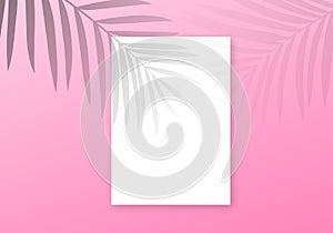 Palm shadow overlay background. Vector transparent palm leaves summer banner