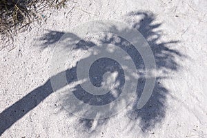 Palm shadow on white sand