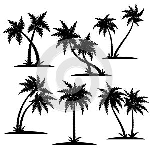 Palm silhouette set