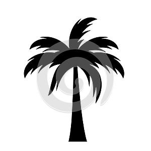 Palm silhouette vector icon