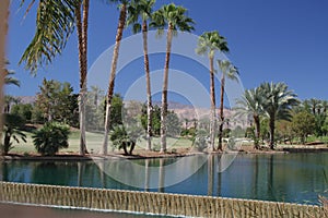 Palm springs