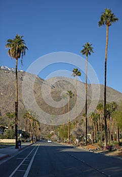 Palm Springs in California