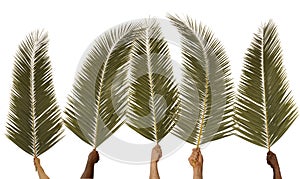 Palm Sunday