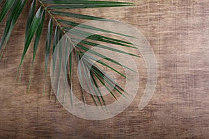 Palm Sunday. Palm brunch on wooden background. Easter