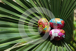 Palm Sunday celebration.