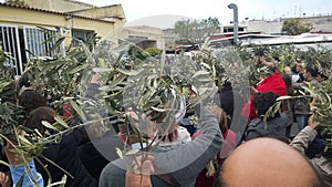 Palm sunday celebration