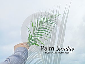Palm Sunday concept. Hosanna to The Highest. With young woman holding green fern leaf in hand and palm leaves shadow on blue sky photo
