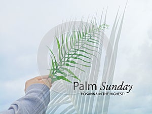 Palm Sunday concept. Hosanna to The Highest. With young woman holding green fern leaf in hand and palm leaves shadow on blue sky