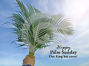 Palm Sunday concept with person holding palm leaves in hand against bright blue sky. Happy Palm Sunday. Our King has come.